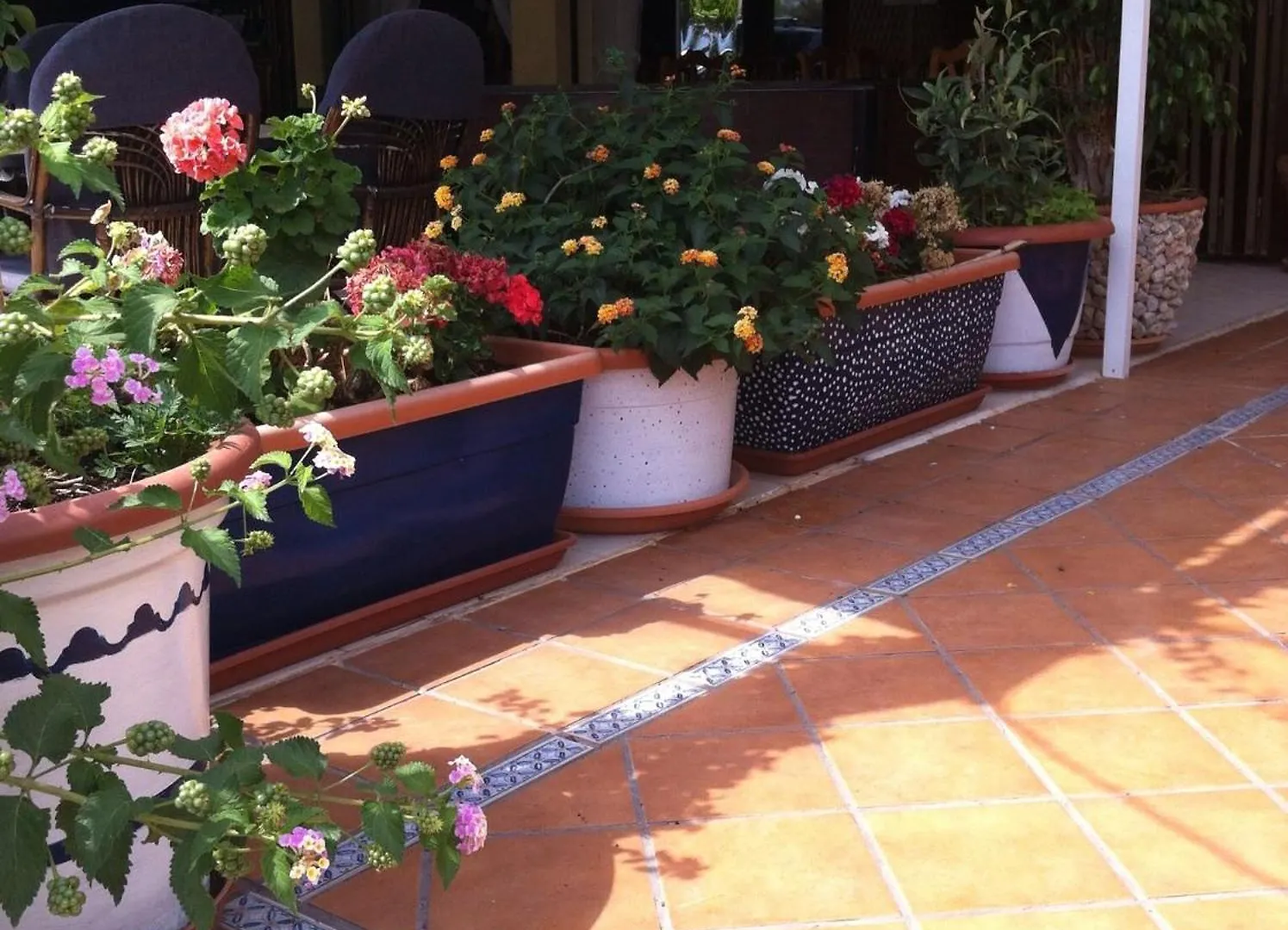 Hostal Roberto Palmanova Espanha